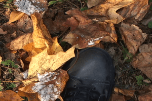 maryland song 2 still2