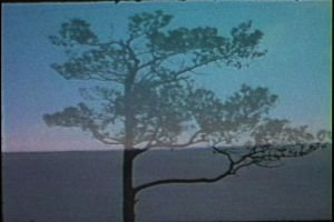 Sequence 1 010020;25