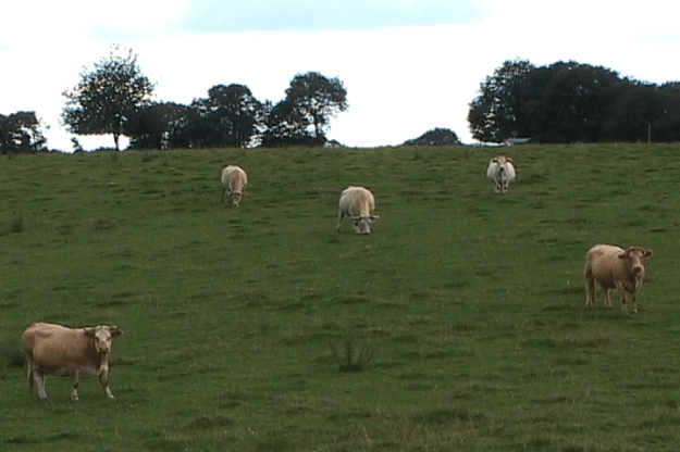 normandy1 002245;15 3