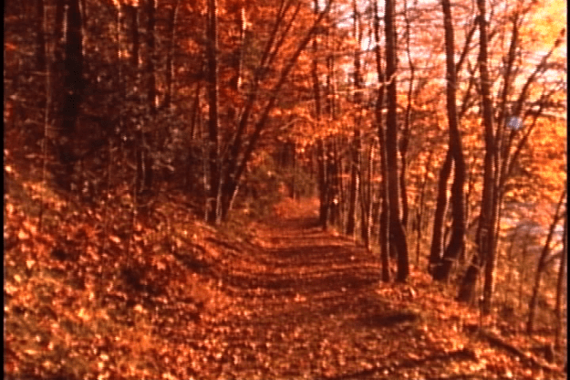 super 8 4rolls lake needwood 000100;28