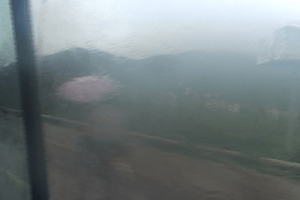 journey south still2