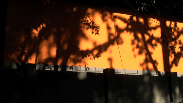 buddist temple nanjing hd still1