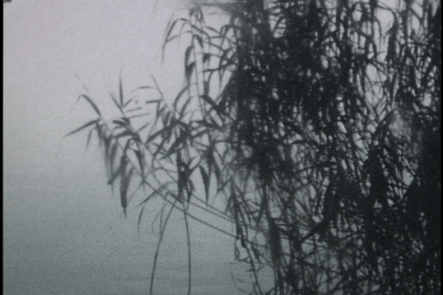 morning at Xuanwu Lake