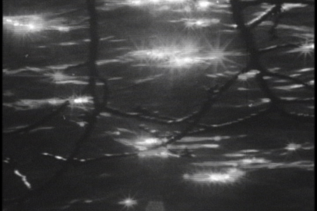 Super 8 Raw Footage 000457;18