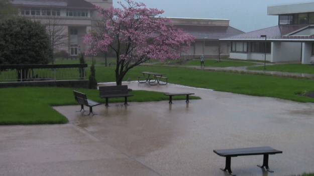 rain on campus 2