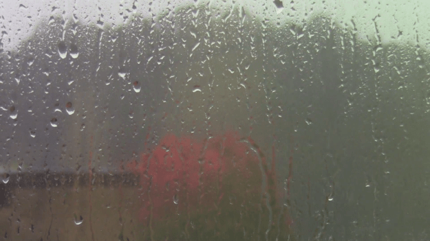 rain on Rockville campus