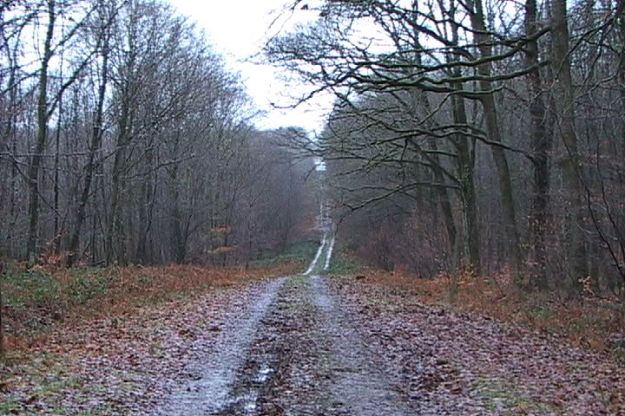 Untitled16 003908;29