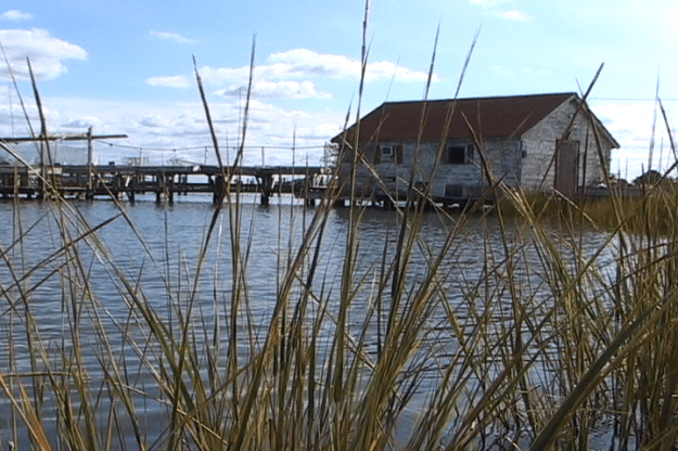 chance oct film 011833;15