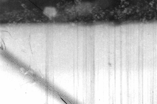 CHRIS LYNN_DV_NTSC 00094705