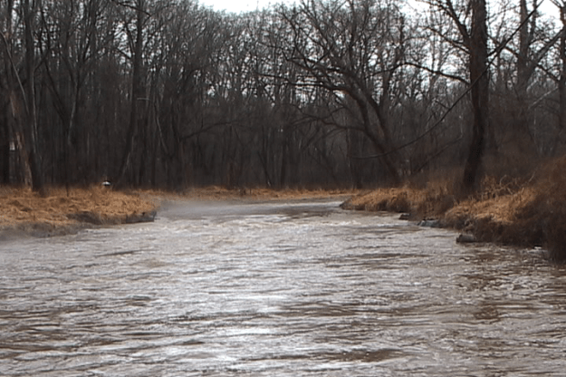 a walk in feb final 010358;04