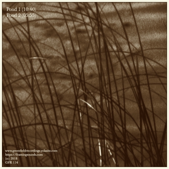 Pond VIews_contracapa340