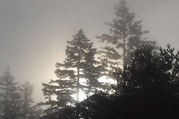 scenes from 10 walks 014130;13