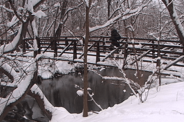a walk in snow image