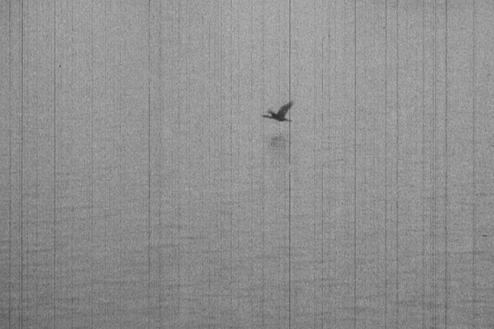 super 8 from washington-seattle 2018dc 00054105