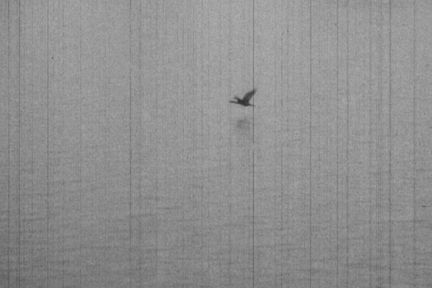 super 8 from washington-seattle 2018dc 00054105