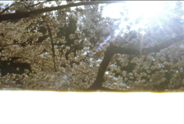 still end of the reel