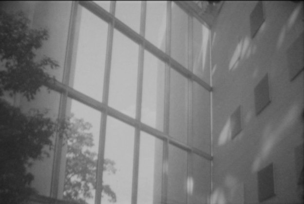 summer 2019 3 rolls 000540;04