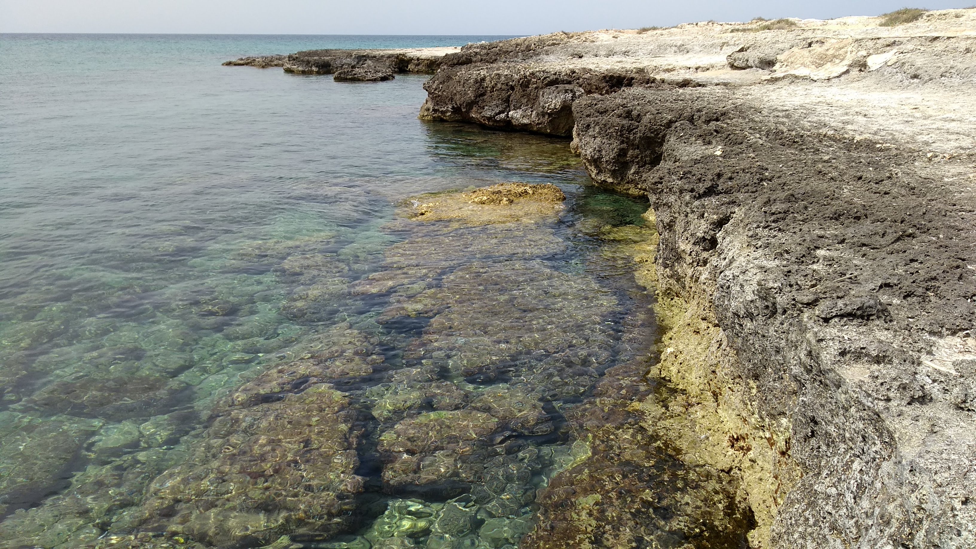 IMG_20210621_153440776