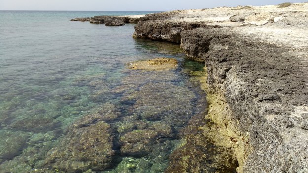 IMG_20210621_153440776