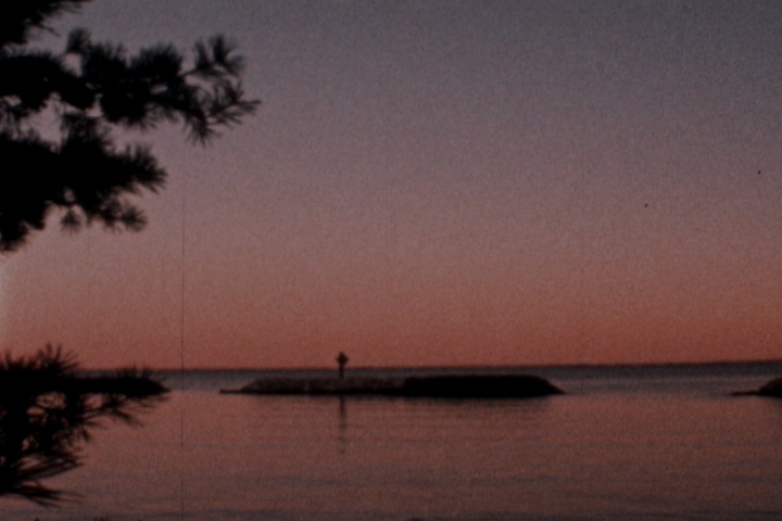 Chris Lynn 00011611 2