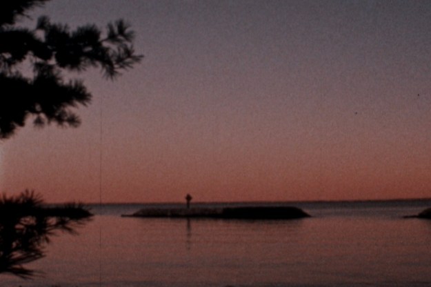 Chris Lynn 00011611 2