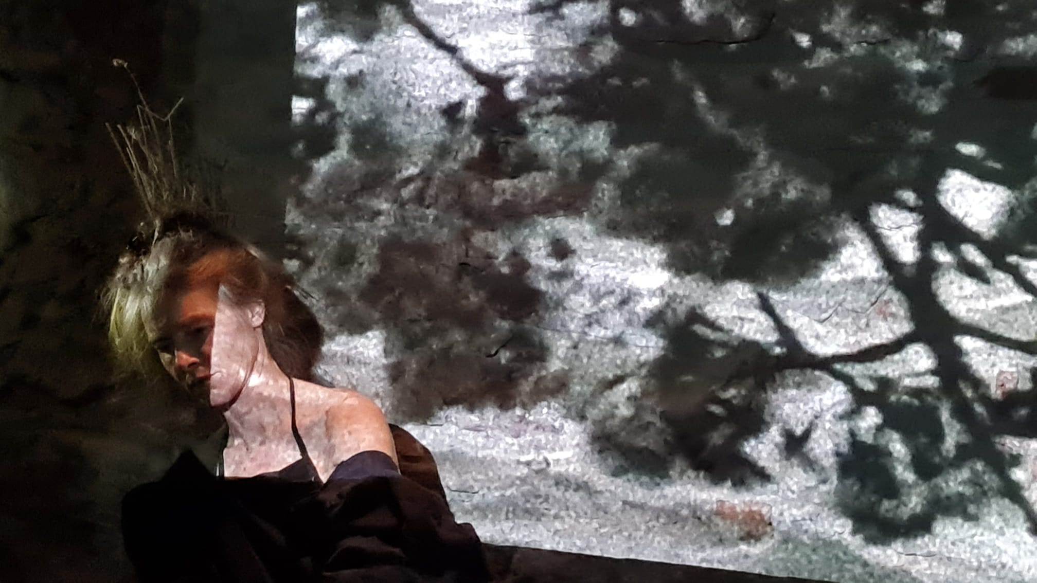 f0e013c2-7ae4-424a-950d-cb835efd5ec4