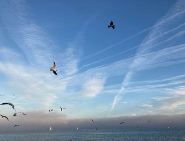 bafkreia2uw22ujy6tcp3qbdhj2xpdurwvj75u5pseywovyrgzdwbqcbenq